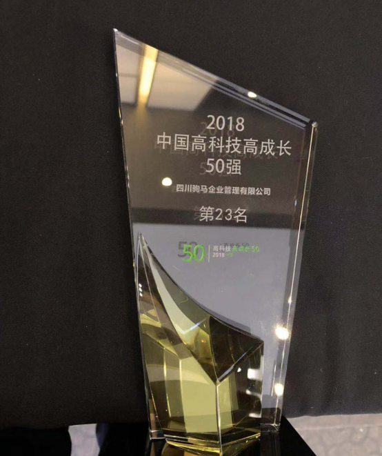 从优秀到卓越 驹马集团连续两年入围“德勤50强”的进阶之路